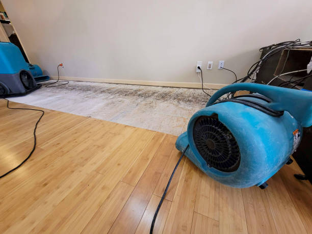 Professional Water Damage Repair technician working in Chicopee, MA